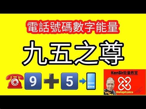 數字電話|香港電話號碼